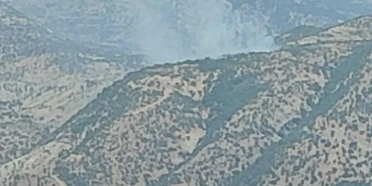 Şırnak’ta orman yangını