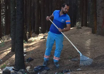 Yıldırım’da orman temizliği