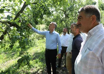 Tarım arazilerine ulaşım ağı güçleniyor