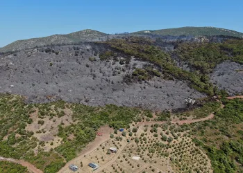 İzmir Urla’daki yangının boyutu havadan görüntülendi