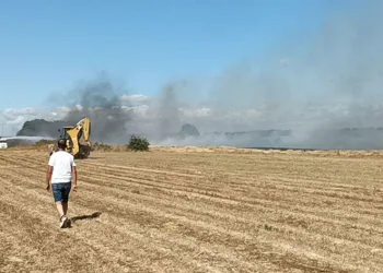 Tekirdağ’da anız yangını