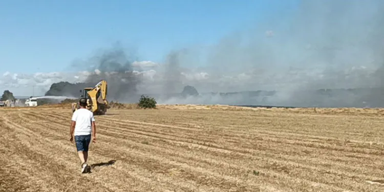 Tekirdağ’da anız yangını