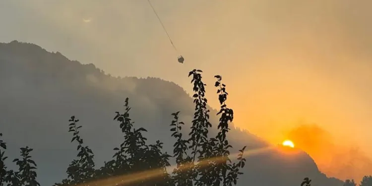 Kahramanmaraş’taki orman yangını kontrol altına alındı