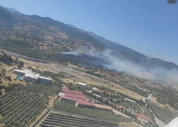 Menemen’de makilik alanda yangın