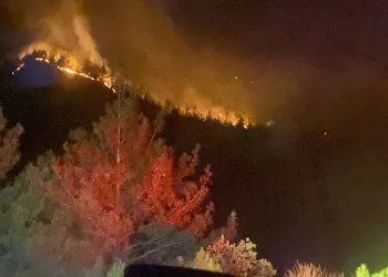 Kahramanmaraş’taki orman yangını 18 saat sonra kontrol altına alındı