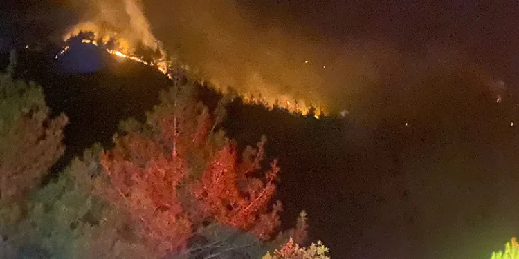 Kahramanmaraş’taki orman yangını 18 saat sonra kontrol altına alındı