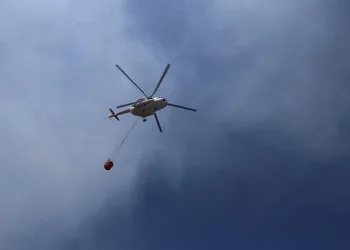 Adana’daki orman yangını evlere sıçradı, 8 ev zarar gördü