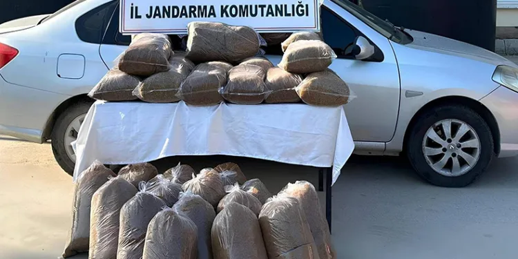 Mersin’de 310 kilo kaçak tütün ele geçirildi