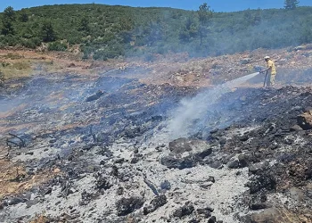 Muğla’daki arazi yangını kontrol altına alındı