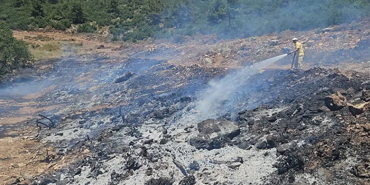Muğla’daki arazi yangını kontrol altına alındı