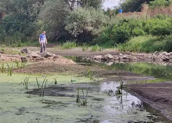 Edirne’de kuraklık etkisini gün geçtikçe arttırıyor