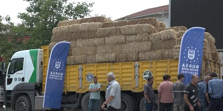 Büyükşehirden çiftçiye destek