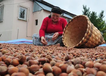 Yılın ilk yarısında 6 bin ton ihracat