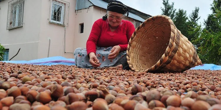 Yılın ilk yarısında 6 bin ton ihracat