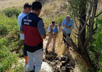 Biri uçurumdan atlayınca diğerleri peşinden koştu