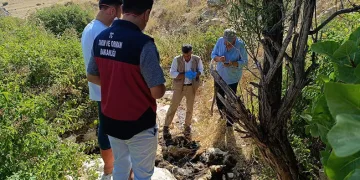 Biri uçurumdan atlayınca diğerleri peşinden koştu
