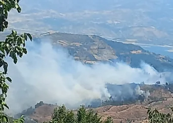 Kahramanmaraş’ta orman yangını