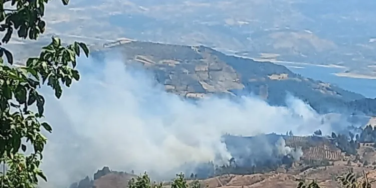 Kahramanmaraş’ta orman yangını