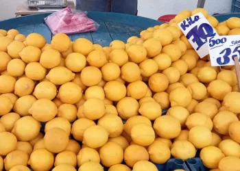 Pazarda bile kilosu 70 lira