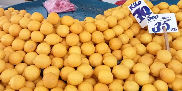 Pazarda bile kilosu 70 lira