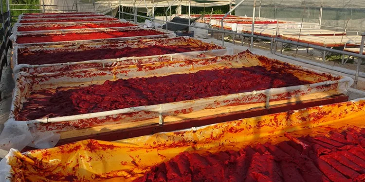 Mersin’de biber salçası üretimi başladı