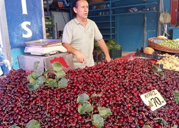 Az yağış ve don kiraz üretimini düşürdü