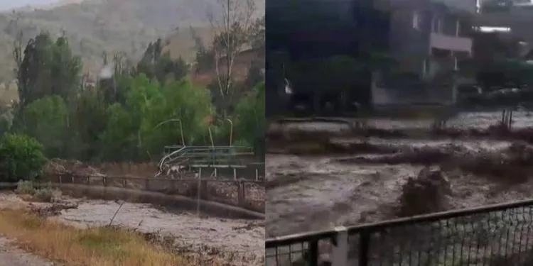 Köprü yıkıldı, yollar zarar gördü
