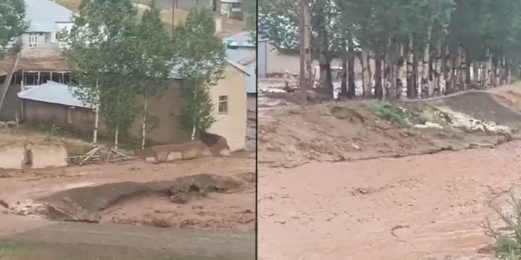 Saray’da sel: Ekili alanlar zarar gördü