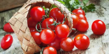 Uzmanından sıcaklarda beslenme uyarısı