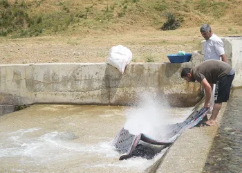 Kızılağaç deresinde renkli görüntüler