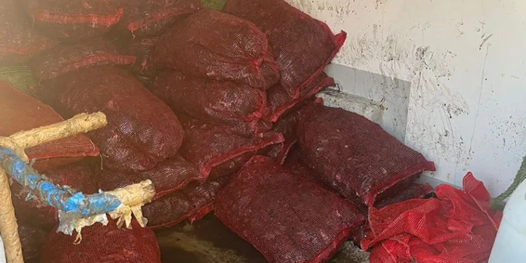 İstanbul Fatih’te 1 ton kaçak midye ele geçirildi