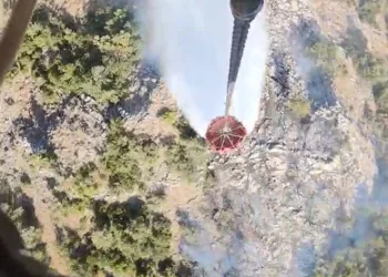 Bergama’daki orman yangını kontrol altında