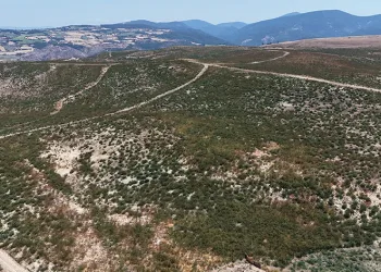 Çanakkale’de küle dönen alanlar yeniden yeşeriyor