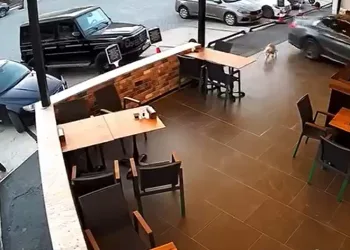 Park etmek isterken markete daldı