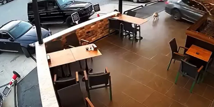 Park etmek isterken markete daldı
