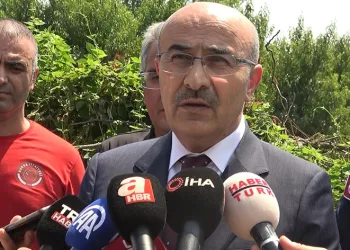 Vali Demirtaş yangın bölgesinde