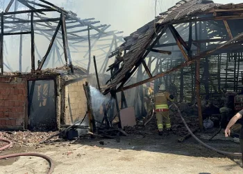 Bahçede anız yakılınca, 5 yapı küle döndü