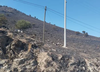 Karpuzlu’daki makilik yangın kontrol altına alındı