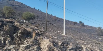 Karpuzlu’daki makilik yangın kontrol altına alındı