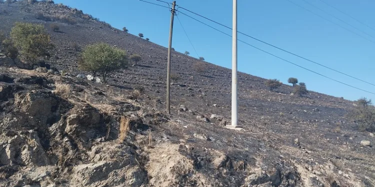 Karpuzlu’daki makilik yangın kontrol altına alındı