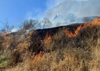 Aytepe mesire alanında yangın