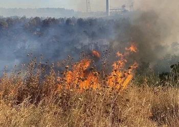 Ziraat odasından çiftçilere ‘anız yangını’ uyarısı