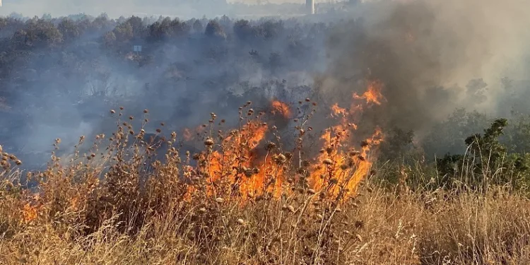 Ziraat odasından çiftçilere ‘anız yangını’ uyarısı