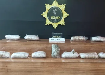 Şanlıurfa’da 6 kilo 550 gram uyuşturucu madde skunk ele geçirildi