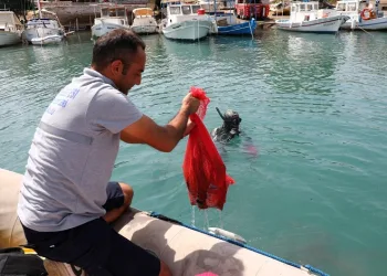 Gümbet’te deniz dibi temizliği