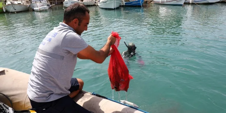 Gümbet’te deniz dibi temizliği