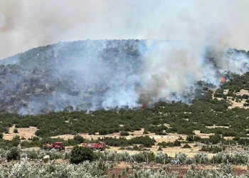 Kahramanmaraş’ta makilik alanda çıkan yangın kontrol altına alındı