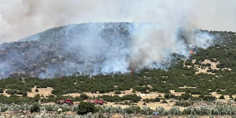 Kahramanmaraş’ta makilik alanda çıkan yangın kontrol altına alındı