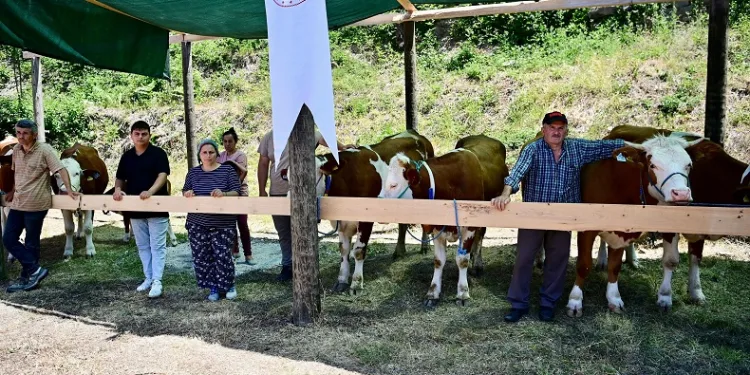 Sinop’ta 265 köylüye 40 milyon TL ferdi kredi desteği