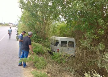 Yoldan çıkan ticari araç ağaca çarptı